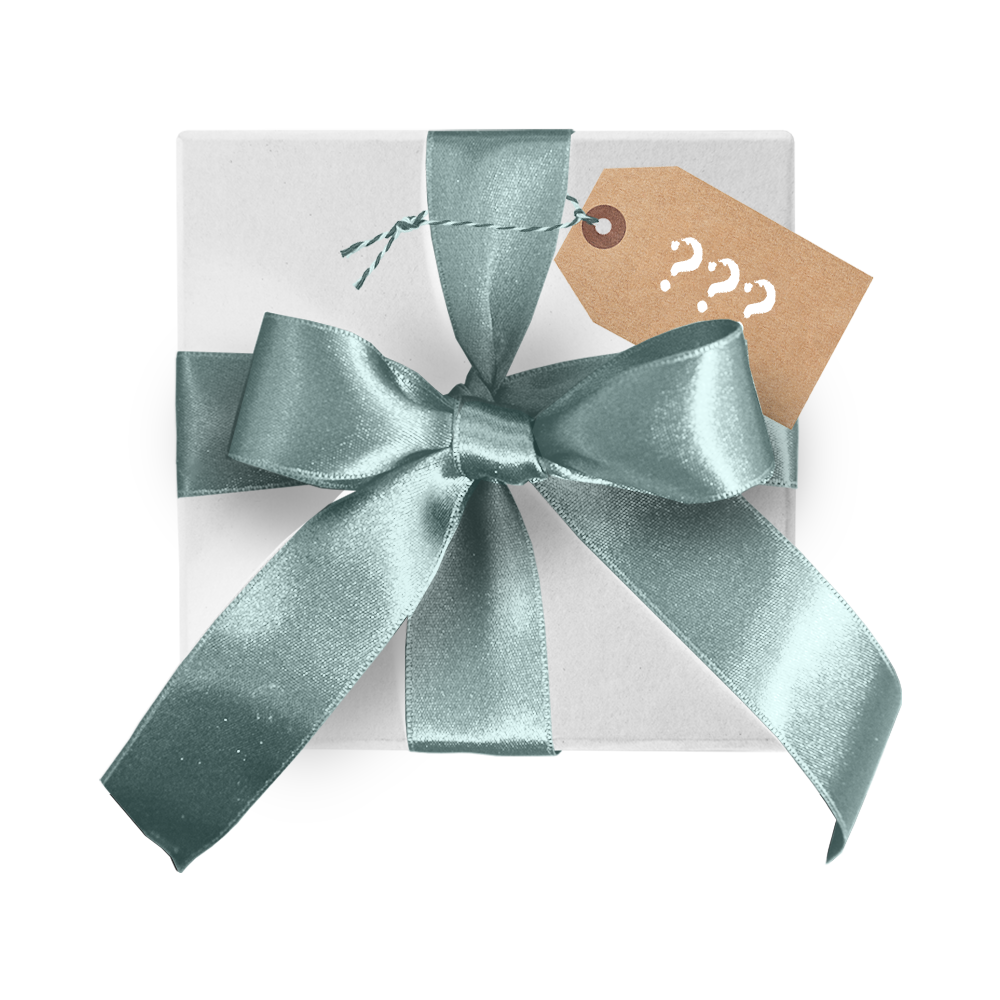 Mystery Accessory 1